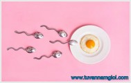 [TP.HCM] Những con số thú vị liên quan tới trứng và tinh trùng mà bạn cần biết