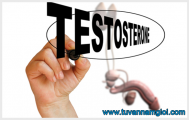 Hoocmon nam là gì? Triệu chứng khi nam giới thiếu hụt Testosterone